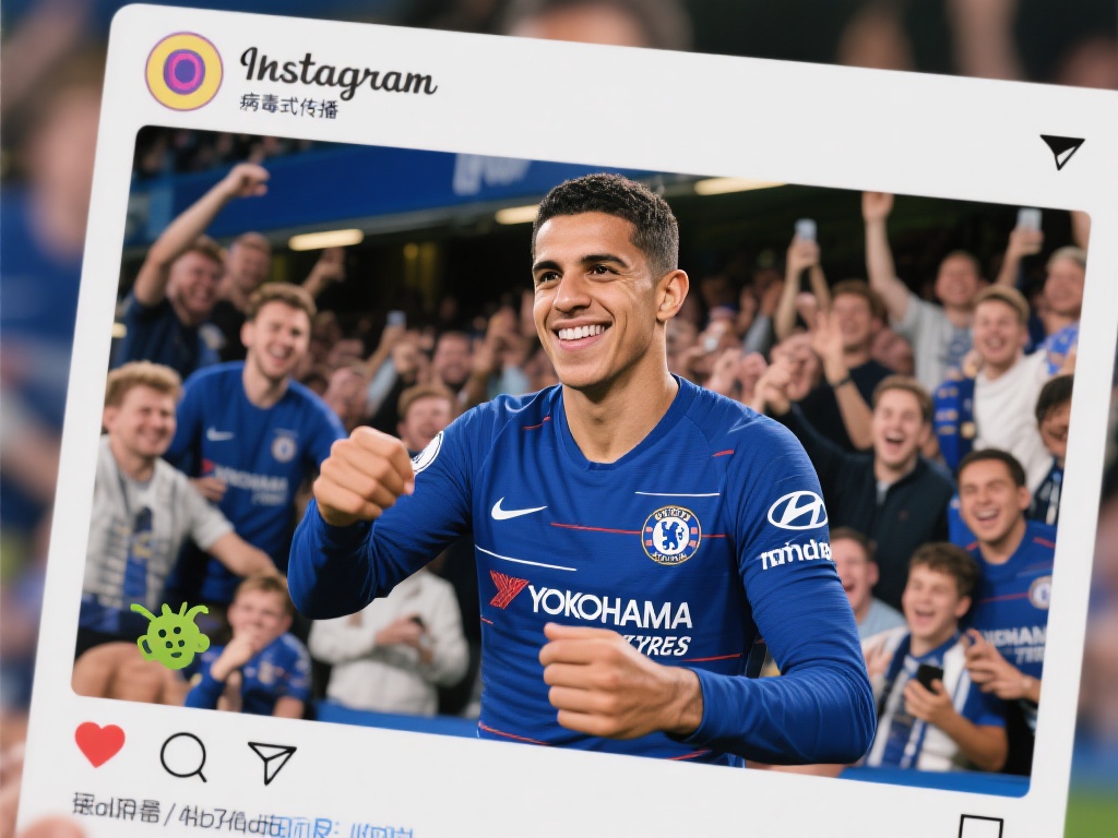 赛的多样性 赛的多样性