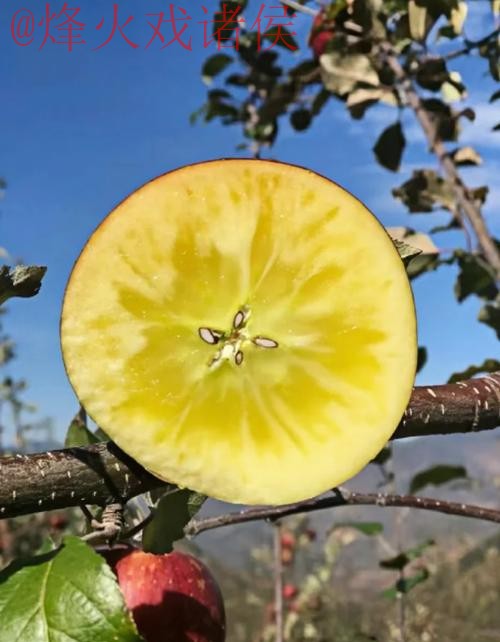 世界杯盘口苹果全站 世界杯盘口苹果全站