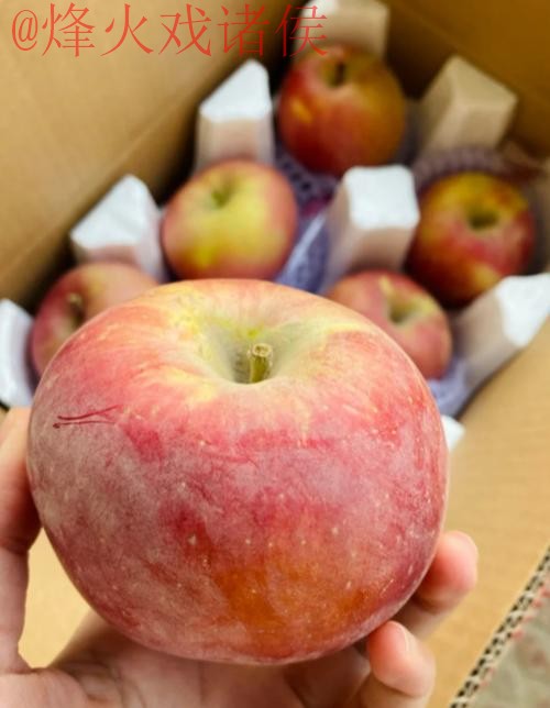 世界杯盘口苹果全站 世界杯盘口苹果全站